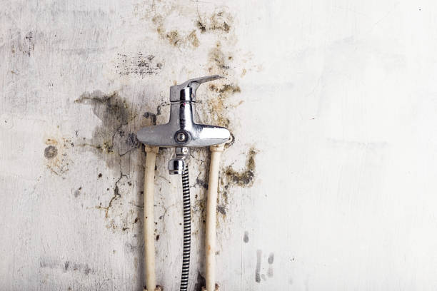 Best Black Mold Removal  in Kenmar, PA