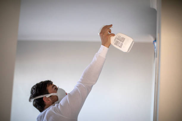 Best Commercial Mold Removal  in Kenmar, PA