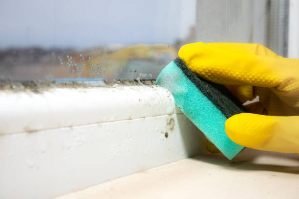 Best Mold Testing  in Kenmar, PA