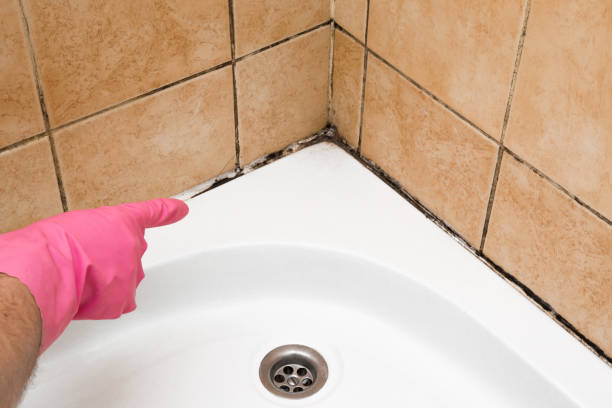 Best Residential Mold Removal  in Kenmar, PA